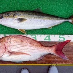 火遠理丸(ほおりまる) 釣果