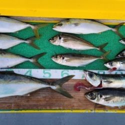 火遠理丸(ほおりまる) 釣果