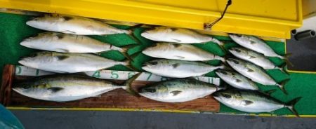 火遠理丸（ほおりまる） 釣果