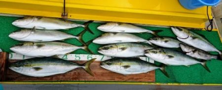 火遠理丸(ほおりまる) 釣果