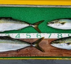 火遠理丸(ほおりまる) 釣果