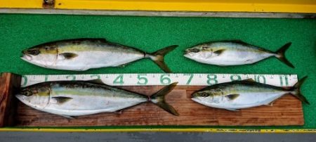 火遠理丸(ほおりまる) 釣果