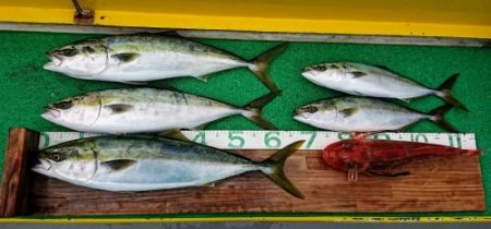 火遠理丸(ほおりまる) 釣果