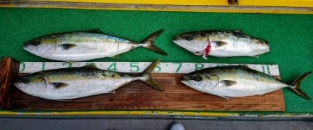 火遠理丸(ほおりまる) 釣果