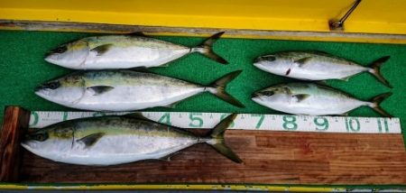 火遠理丸(ほおりまる) 釣果