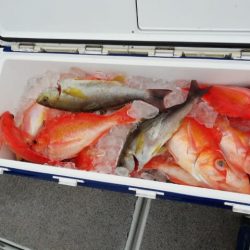 第二大福丸 釣果