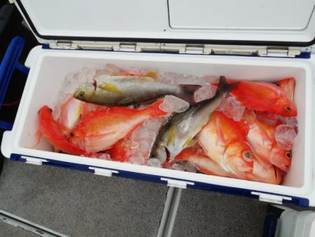 第二大福丸 釣果