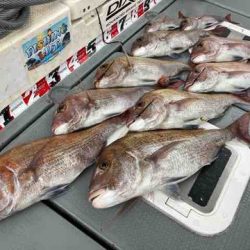 遊漁船 セトマリン 釣果