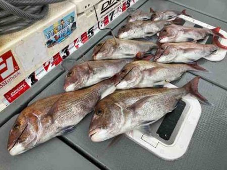 遊漁船 セトマリン 釣果