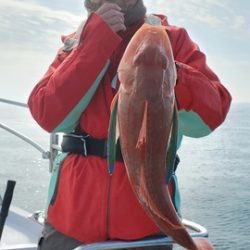 遊漁船　ニライカナイ 釣果