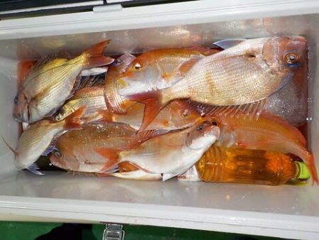 第二むつ漁丸 釣果