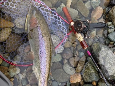 会津大川(会津非出資漁業協同組合) 釣果