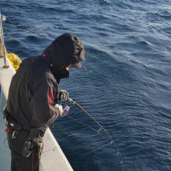 第五慶門丸 釣果