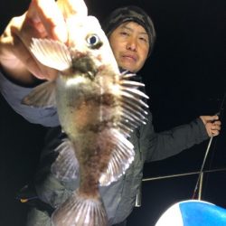 Magic（マジック） 釣果