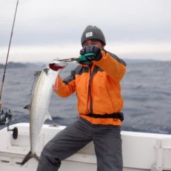 開進丸 釣果