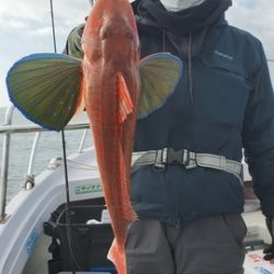 遊漁船　ニライカナイ 釣果