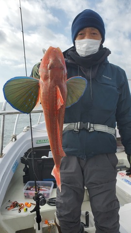 遊漁船　ニライカナイ 釣果
