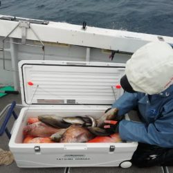 第二大福丸 釣果