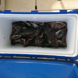たかみ丸 釣果
