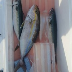 第五慶門丸 釣果