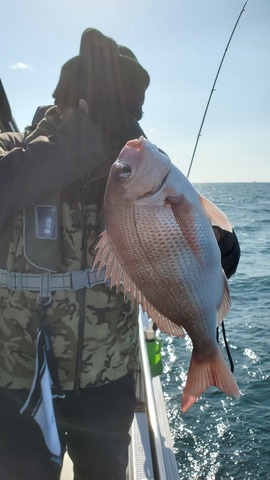 遊漁船　ニライカナイ 釣果