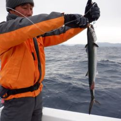 開進丸 釣果