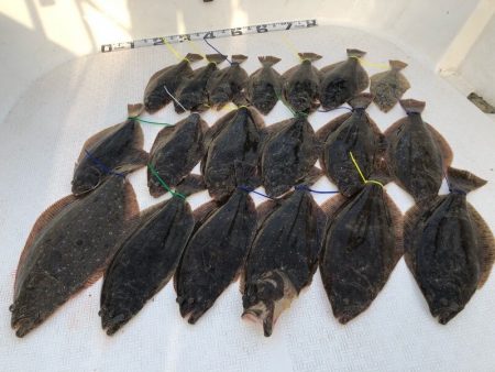 Magic（マジック） 釣果