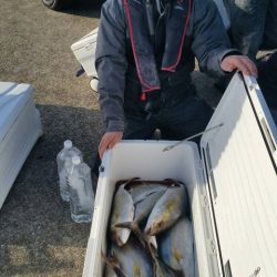 第五慶門丸 釣果