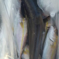 第五慶門丸 釣果