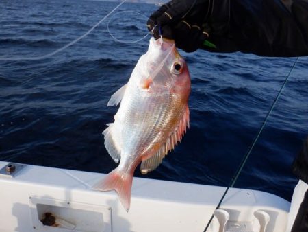 開進丸 釣果