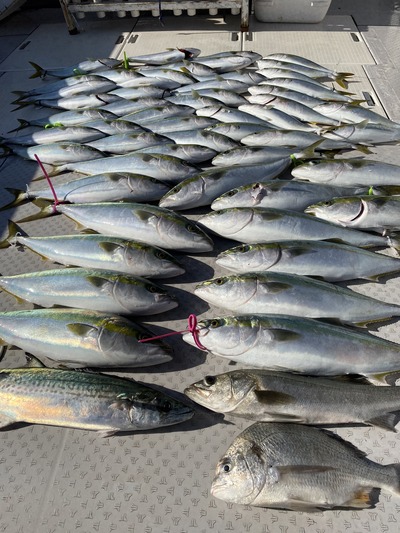 ミタチ丸 釣果