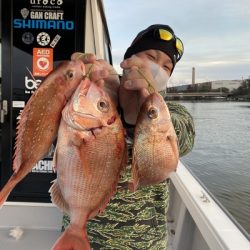 ミタチ丸 釣果