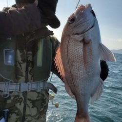 遊漁船　ニライカナイ 釣果