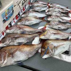 遊漁船 セトマリン 釣果