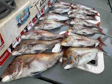 遊漁船 セトマリン 釣果