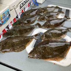 遊漁船 セトマリン 釣果