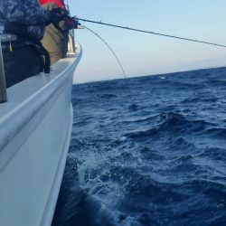 第五慶門丸 釣果