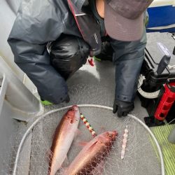 へいみつ丸 釣果