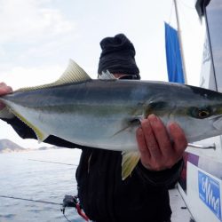 遊漁船 遊友 釣果