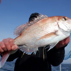 遊漁船 遊友 釣果