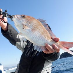 遊漁船 遊友 釣果