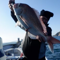 遊漁船 遊友 釣果