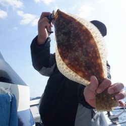 遊漁船 遊友 釣果