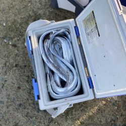 リトルワン 釣果