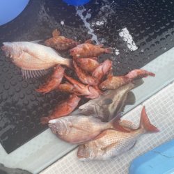 リトルワン 釣果