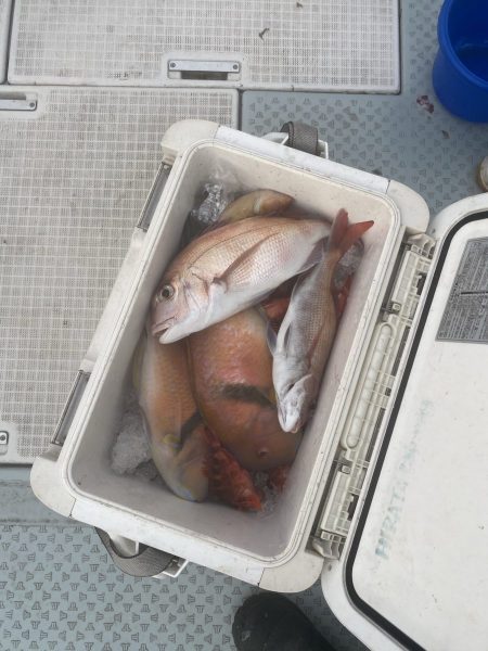 リトルワン 釣果