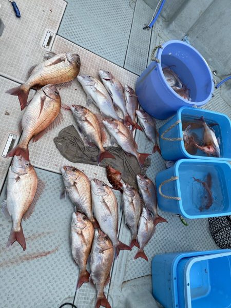 リトルワン 釣果