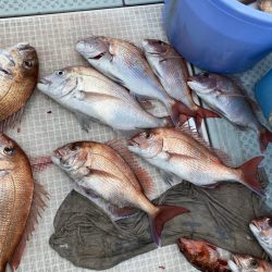 リトルワン 釣果