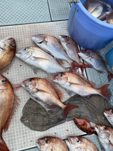 リトルワン 釣果