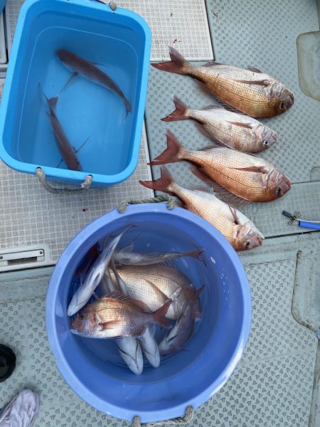 リトルワン 釣果